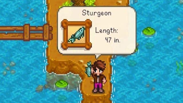 how to catch sturgeon in stardew valley