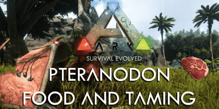 Pteranodon food and taming