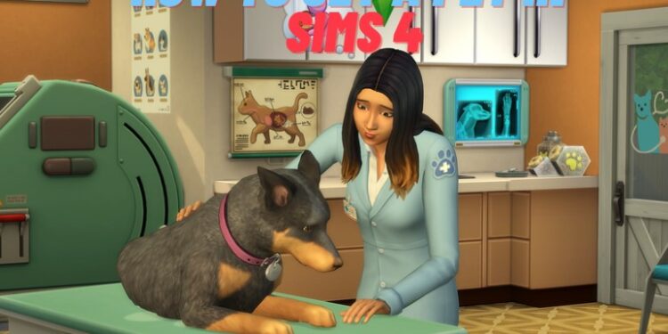 how to get a pet in Sims 4