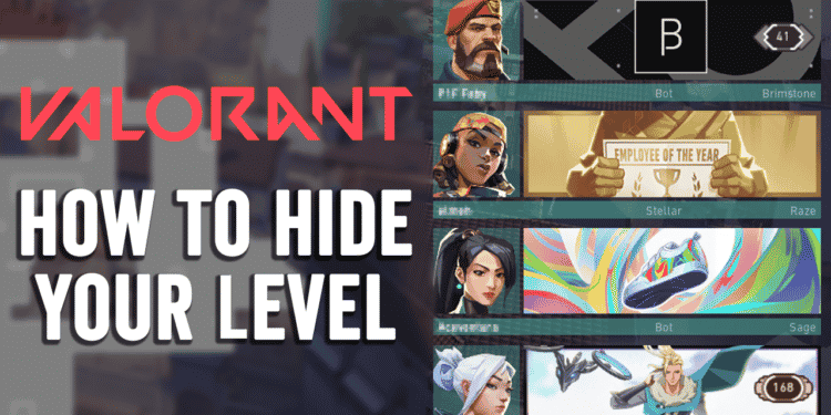 how to hide level