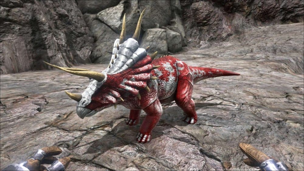 Screenshot of a Triceratops in Ark
