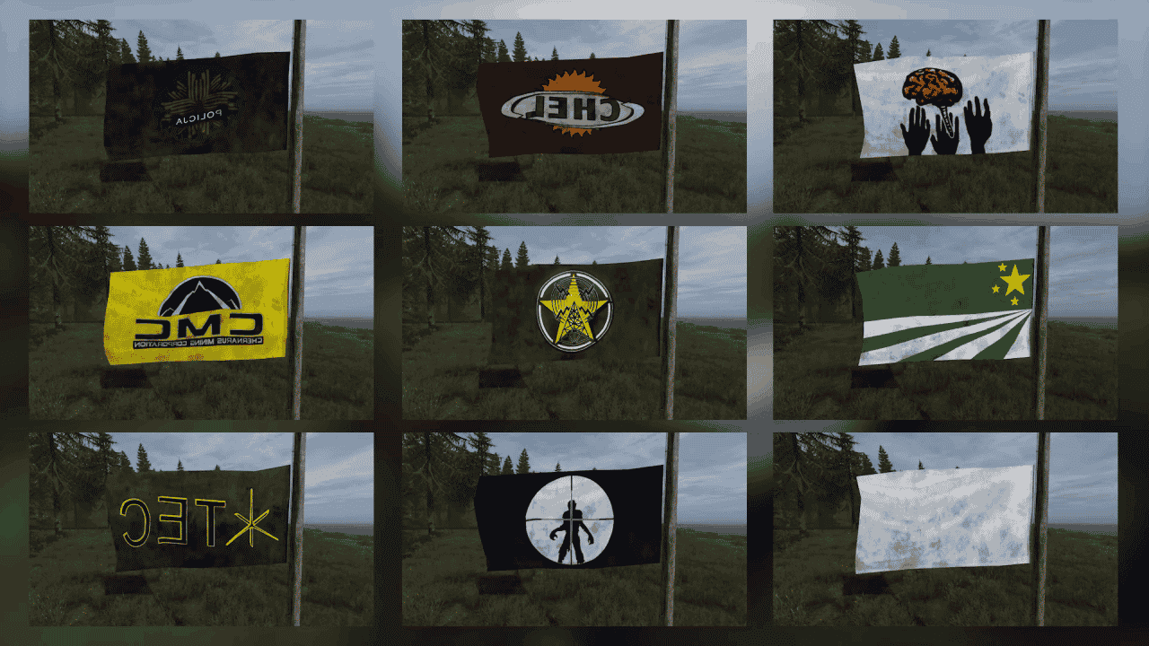 DayZ has a total of 30 flags.