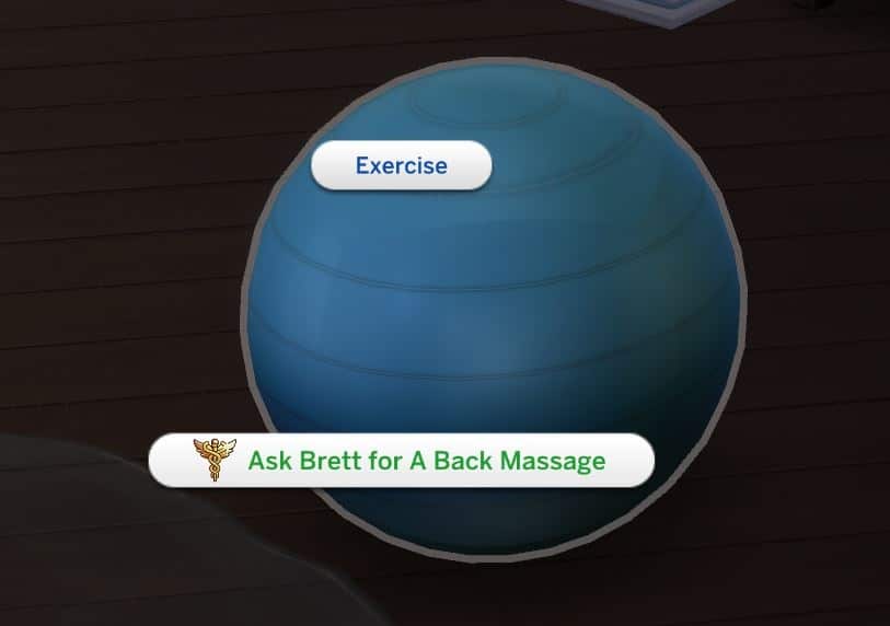yoga ball mod with exercise and back massage options