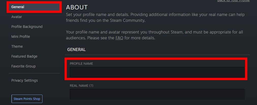 Steam "About" section general tab, with profile name input box highlighted in red.