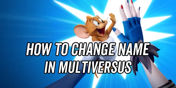 How To name Change in Multiversus